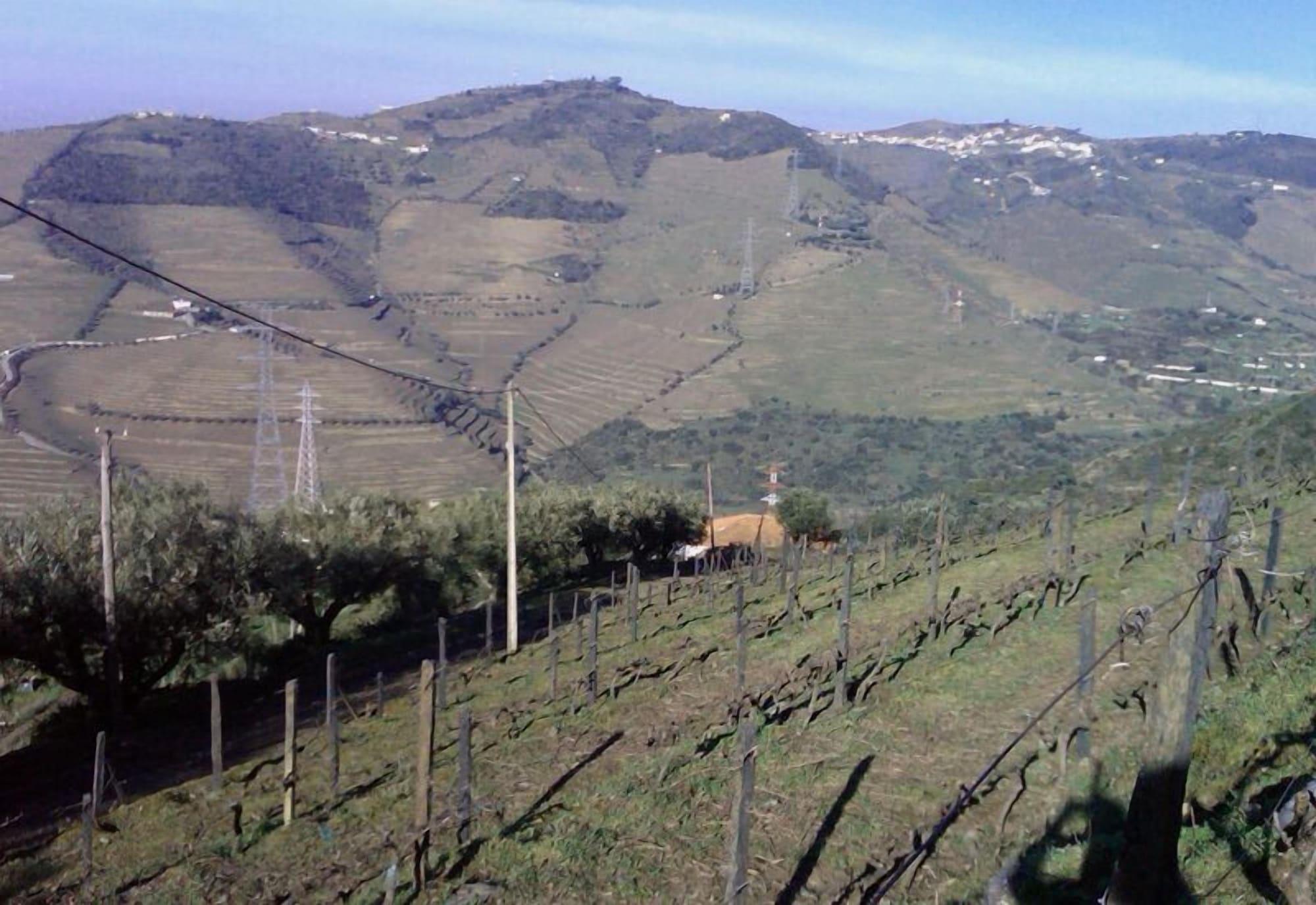 Quinta De Casaldronho Wine Hotel ลาเมโก ภายนอก รูปภาพ