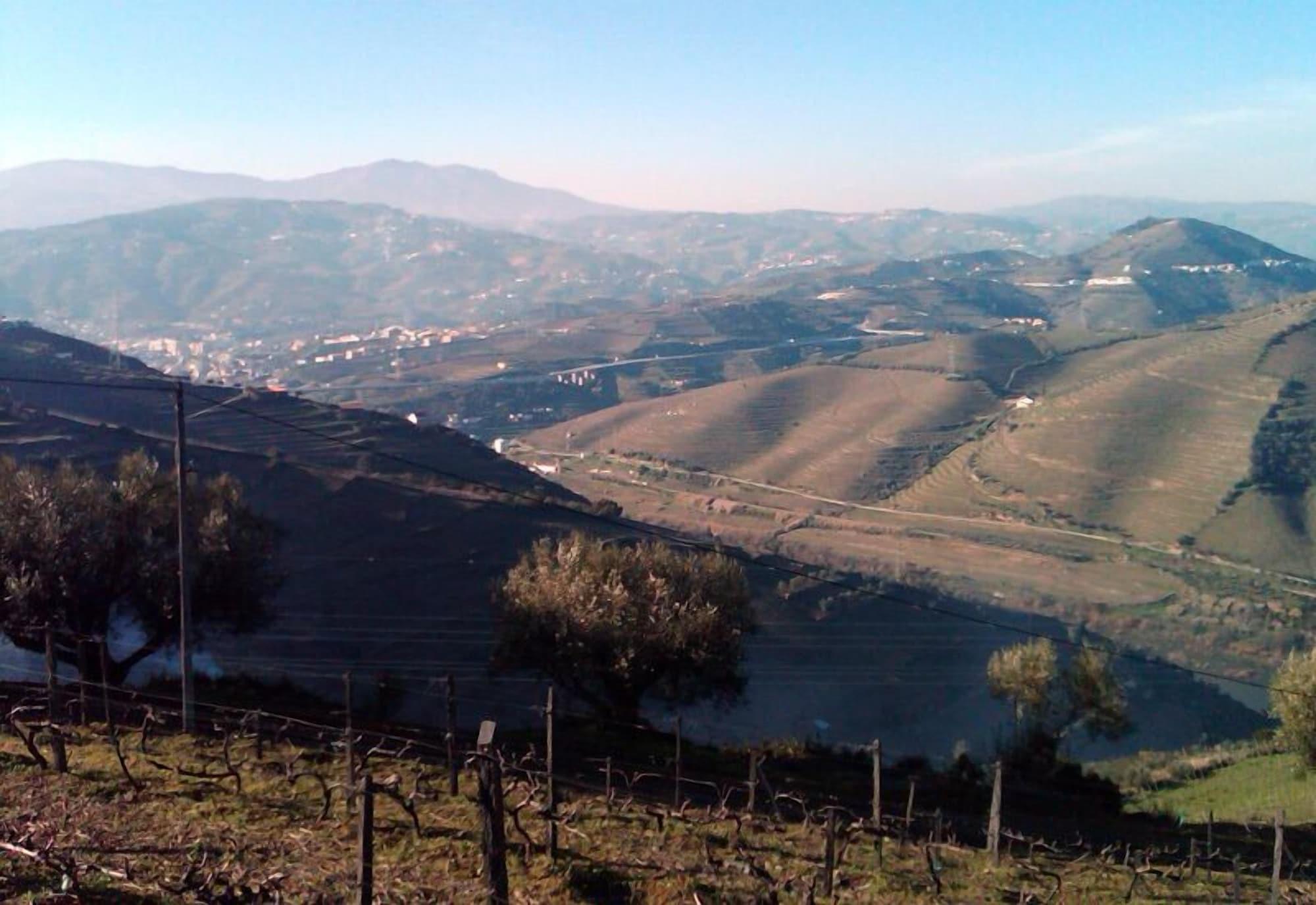 Quinta De Casaldronho Wine Hotel ลาเมโก ภายนอก รูปภาพ