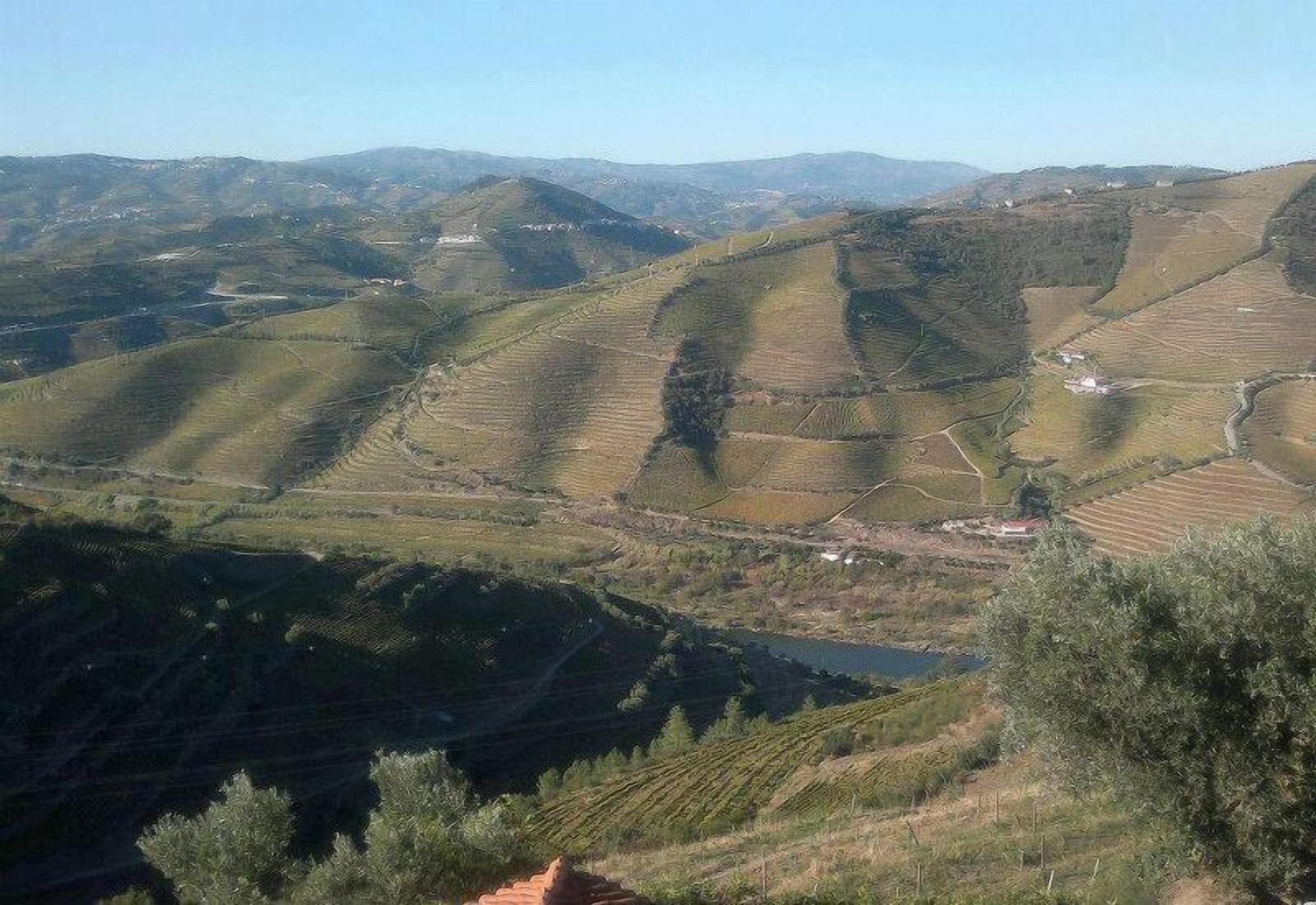 Quinta De Casaldronho Wine Hotel ลาเมโก ภายนอก รูปภาพ